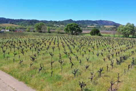 4304 Dry Creek Road Healdsburg CA 95448