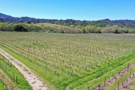 4304 Dry Creek Road Healdsburg CA 95448