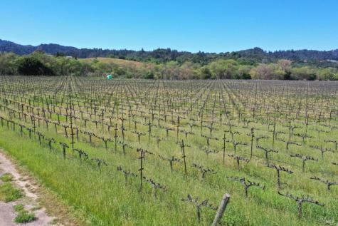 4304 Dry Creek Road Healdsburg CA 95448