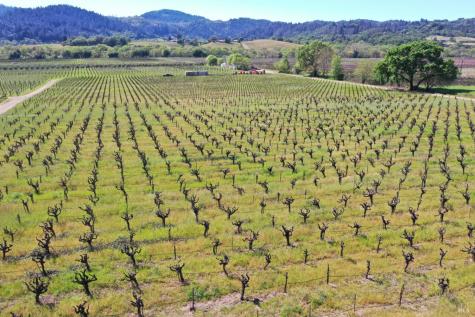4304 Dry Creek Road Healdsburg CA 95448