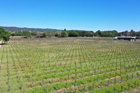 4304 Dry Creek Road Healdsburg CA 95448