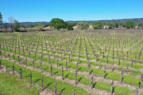 4304 Dry Creek Road Healdsburg CA 95448