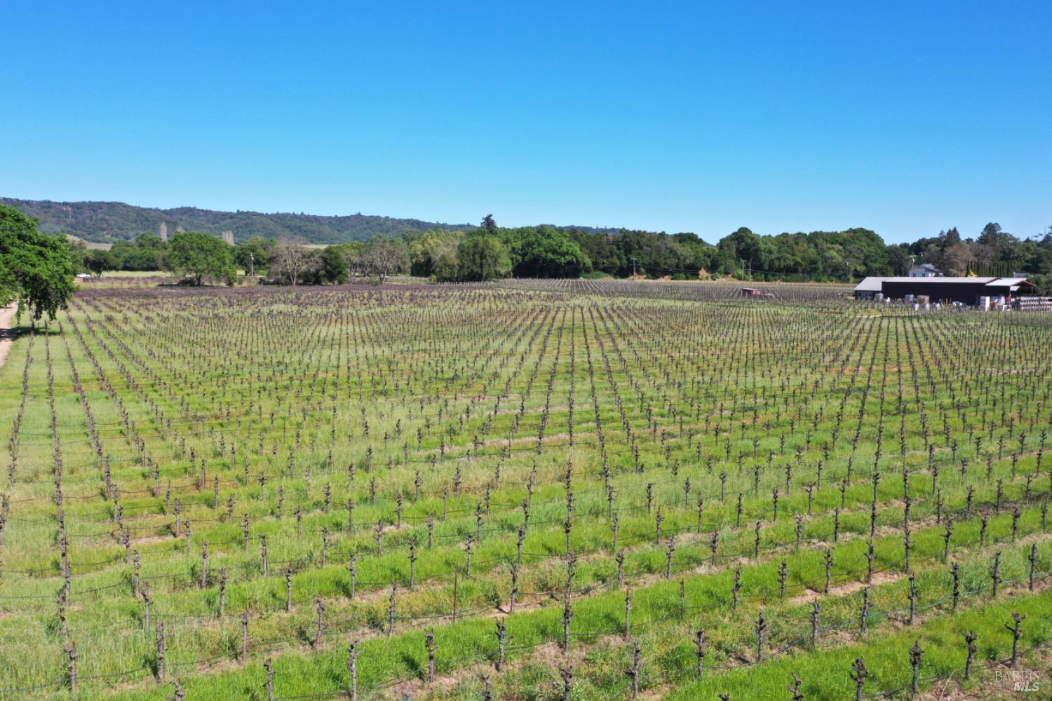 4304 Dry Creek Road Healdsburg CA 95448