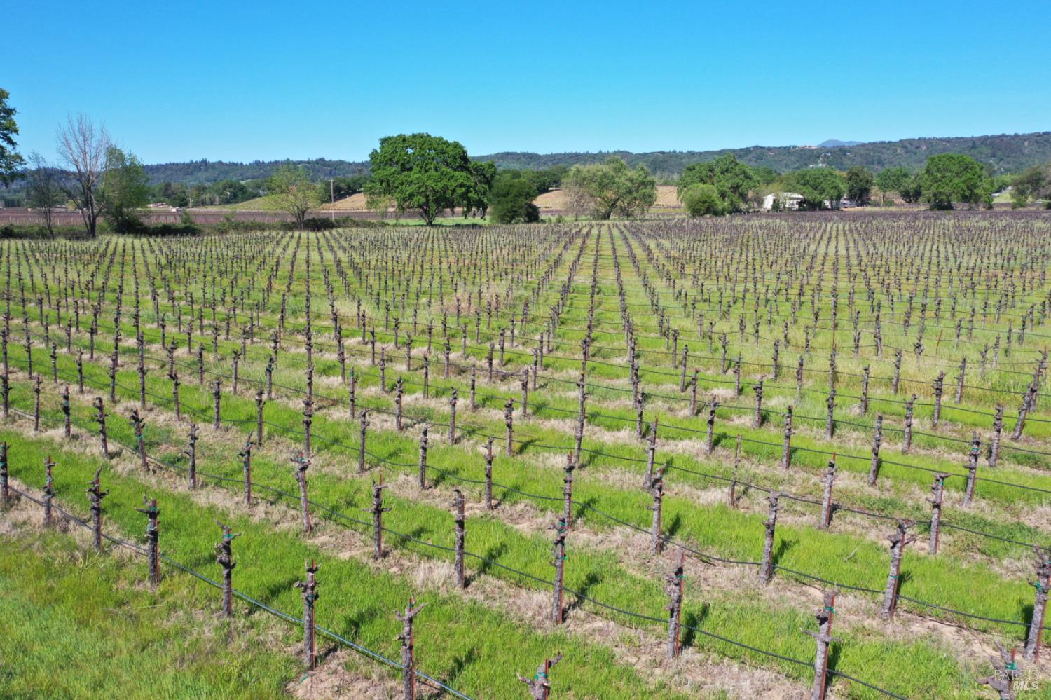 4304 Dry Creek Road Healdsburg CA 95448