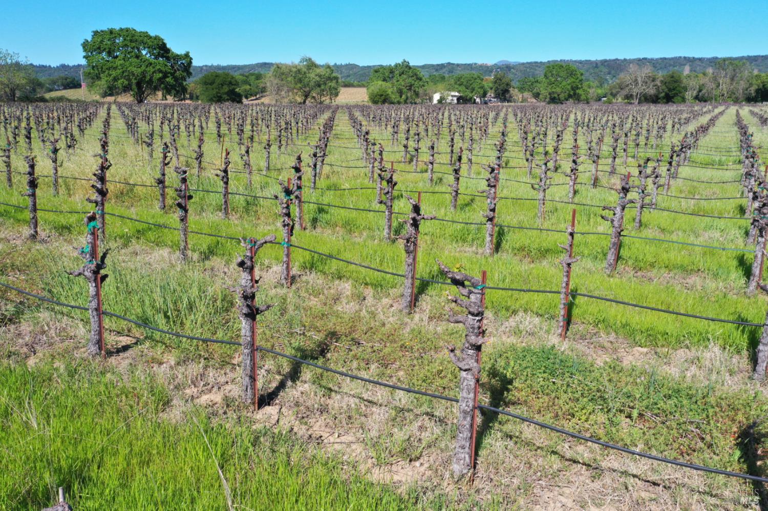 4304 Dry Creek Road Healdsburg CA 95448
