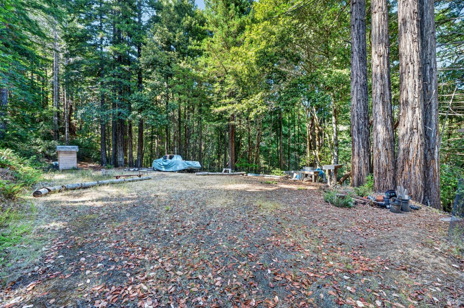1901 Sea Biscuit Drive Navarro CA 95463