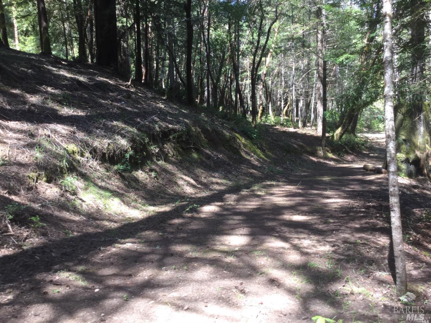 24960 Clover Road Willits CA 95490