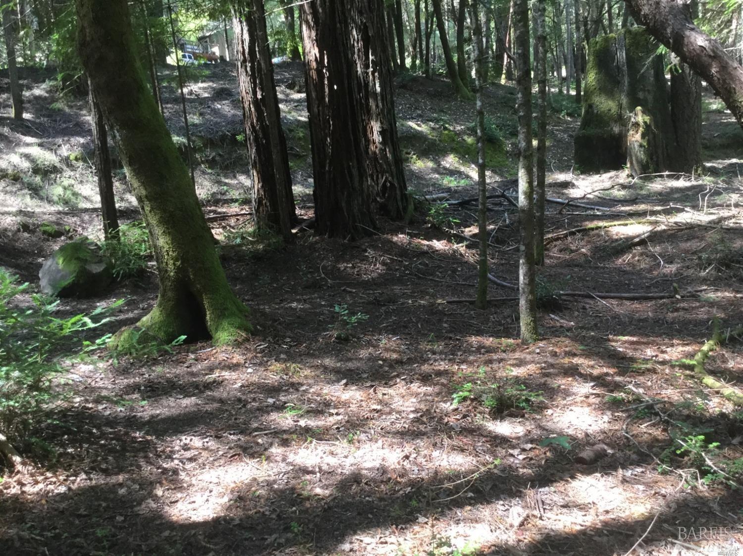 24960 Clover Road Willits CA 95490