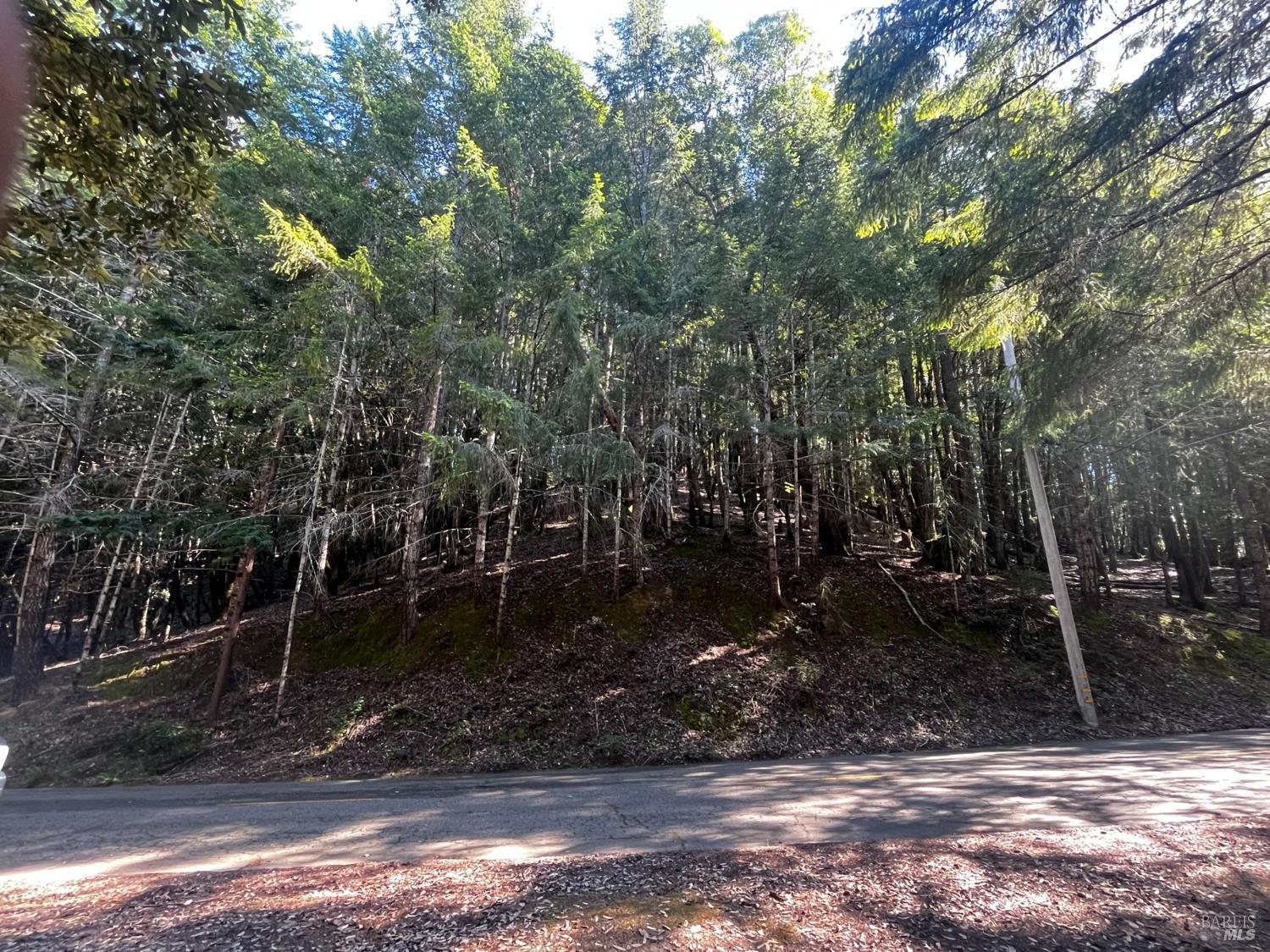 1775 Buckeye Road Willits CA 95490