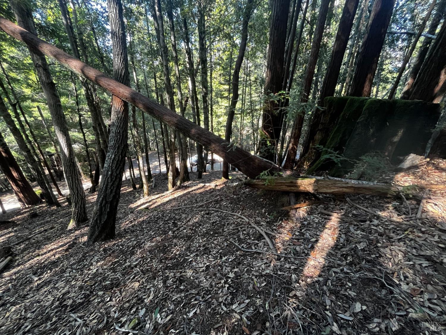 1775 Buckeye Road Willits CA 95490