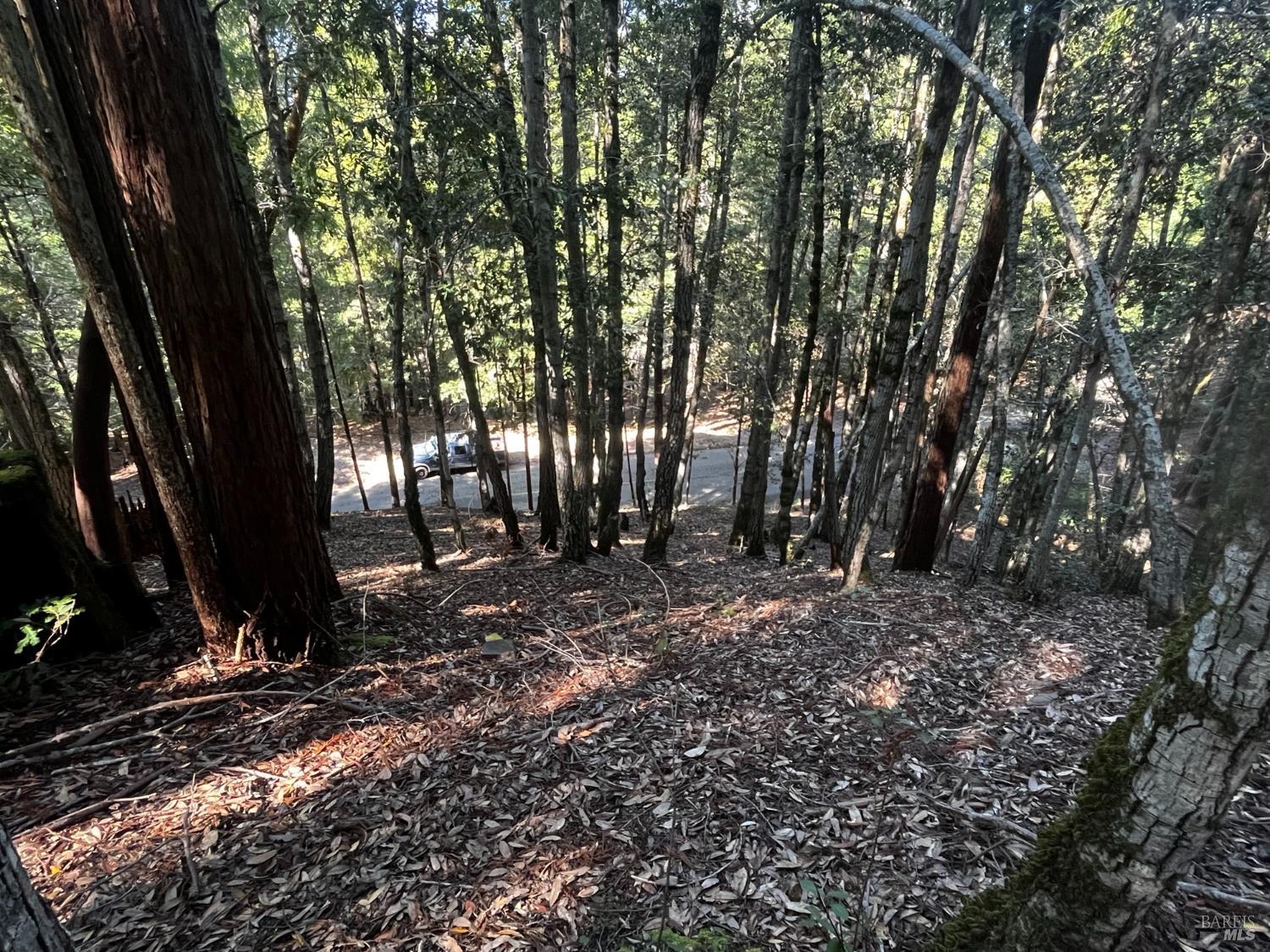 1775 Buckeye Road Willits CA 95490