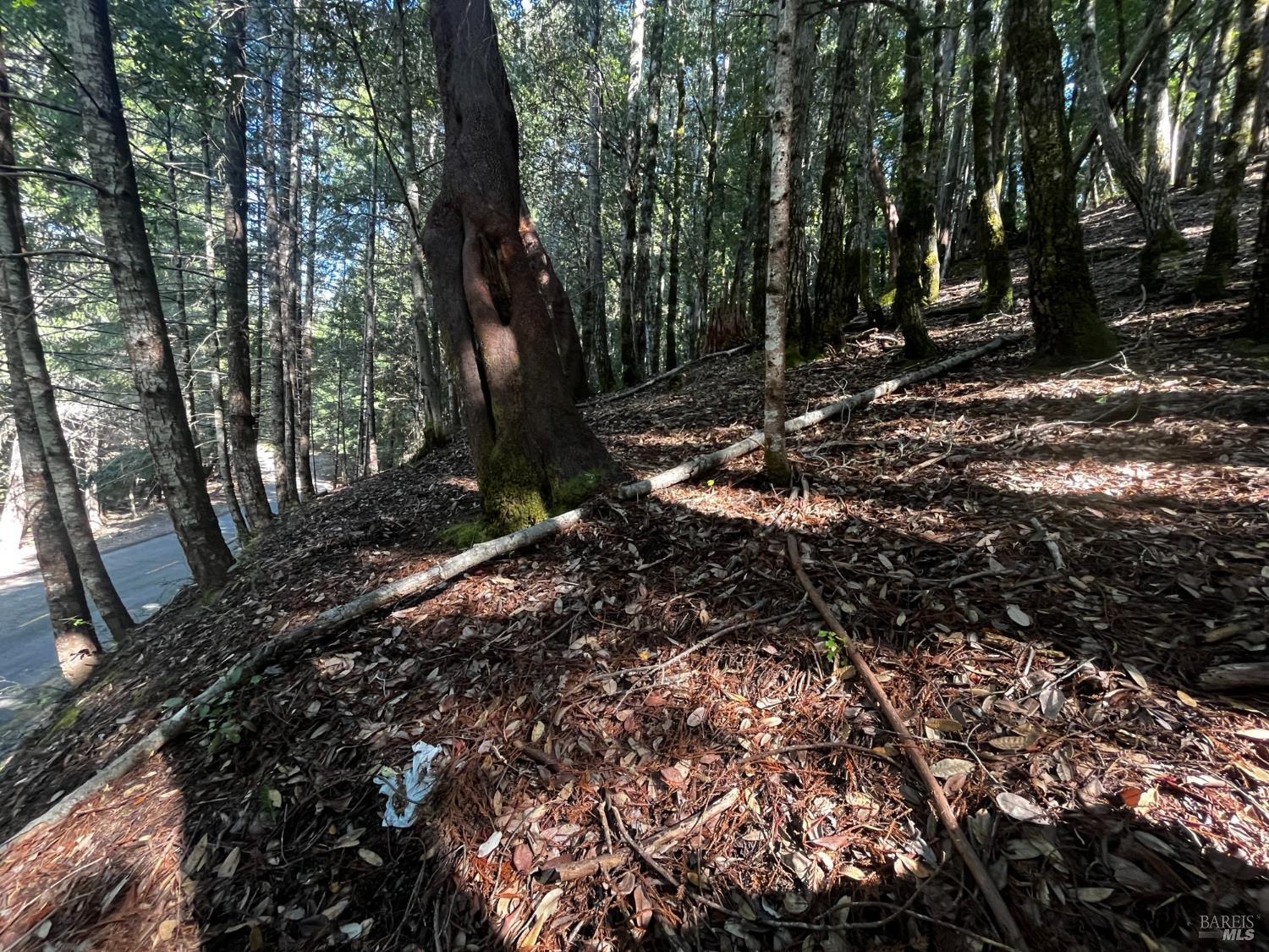 1775 Buckeye Road Willits CA 95490