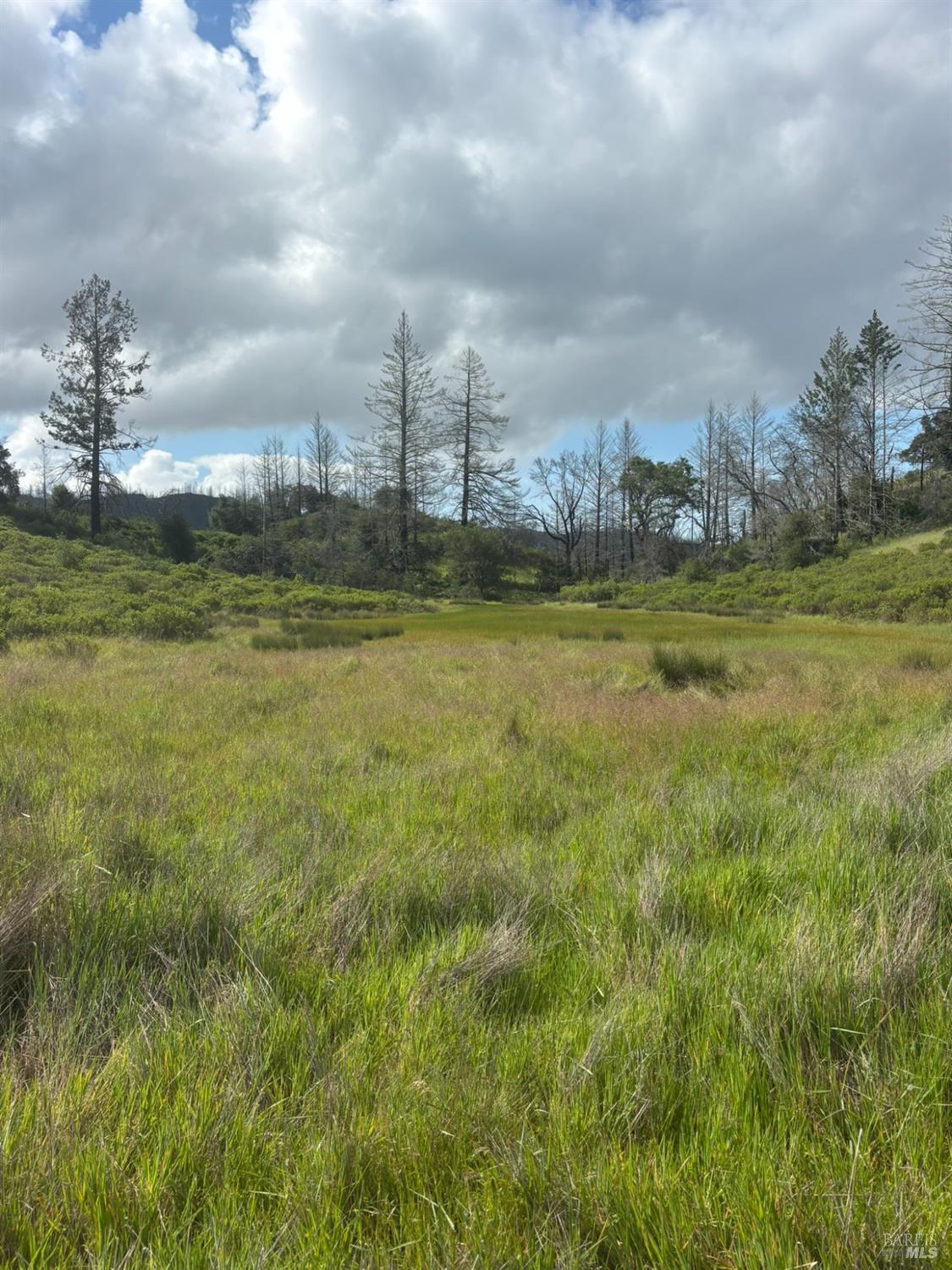 6971 St Helena Road Santa Rosa CA 95404