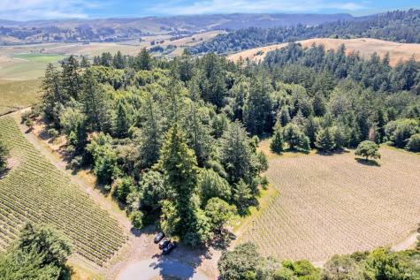 0 S Bodega Highway Freestone CA 95472