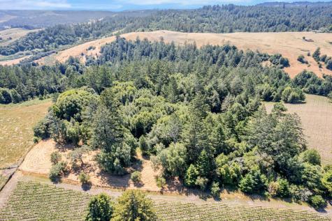 0 S Bodega Highway Freestone CA 95472
