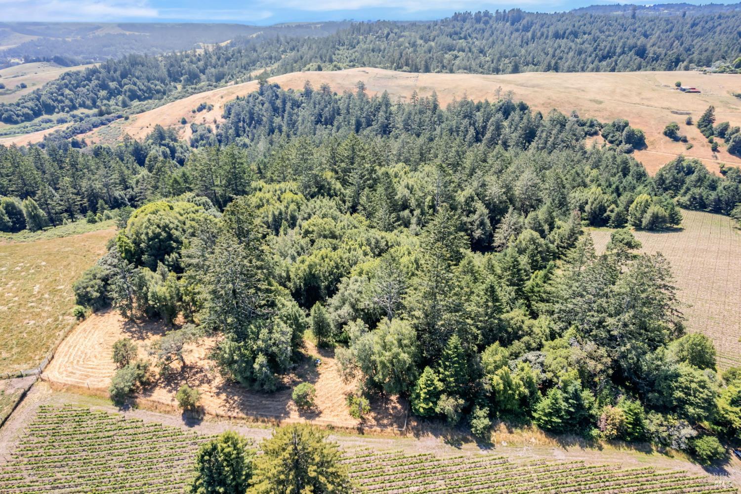 0 S Bodega Highway Freestone CA 95472