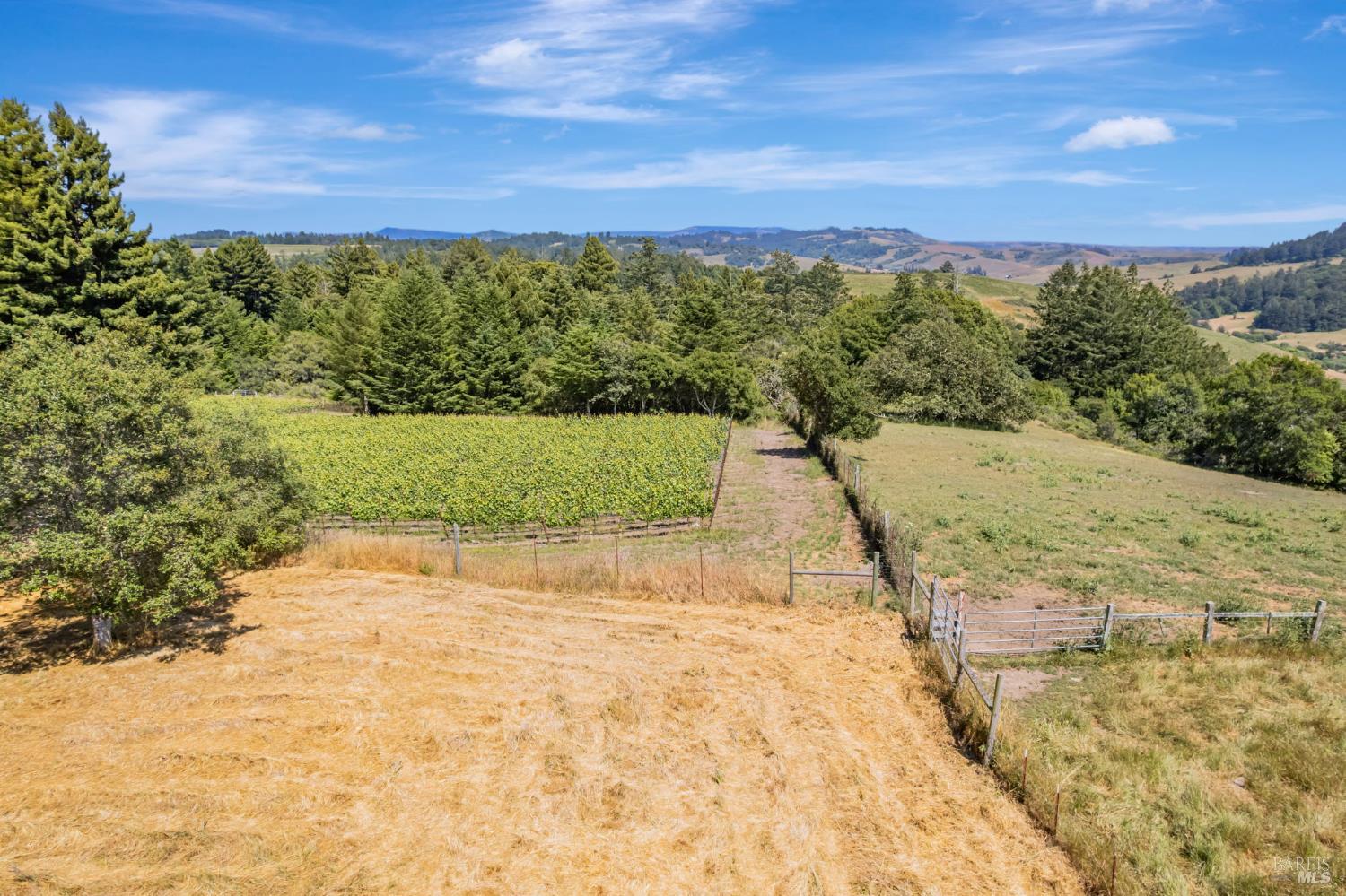 0 S Bodega Highway Freestone CA 95472