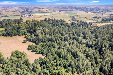 0 S Bodega Highway Freestone CA 95472
