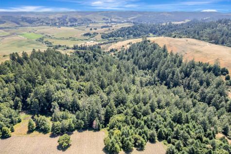0 S Bodega Highway Freestone CA 95472
