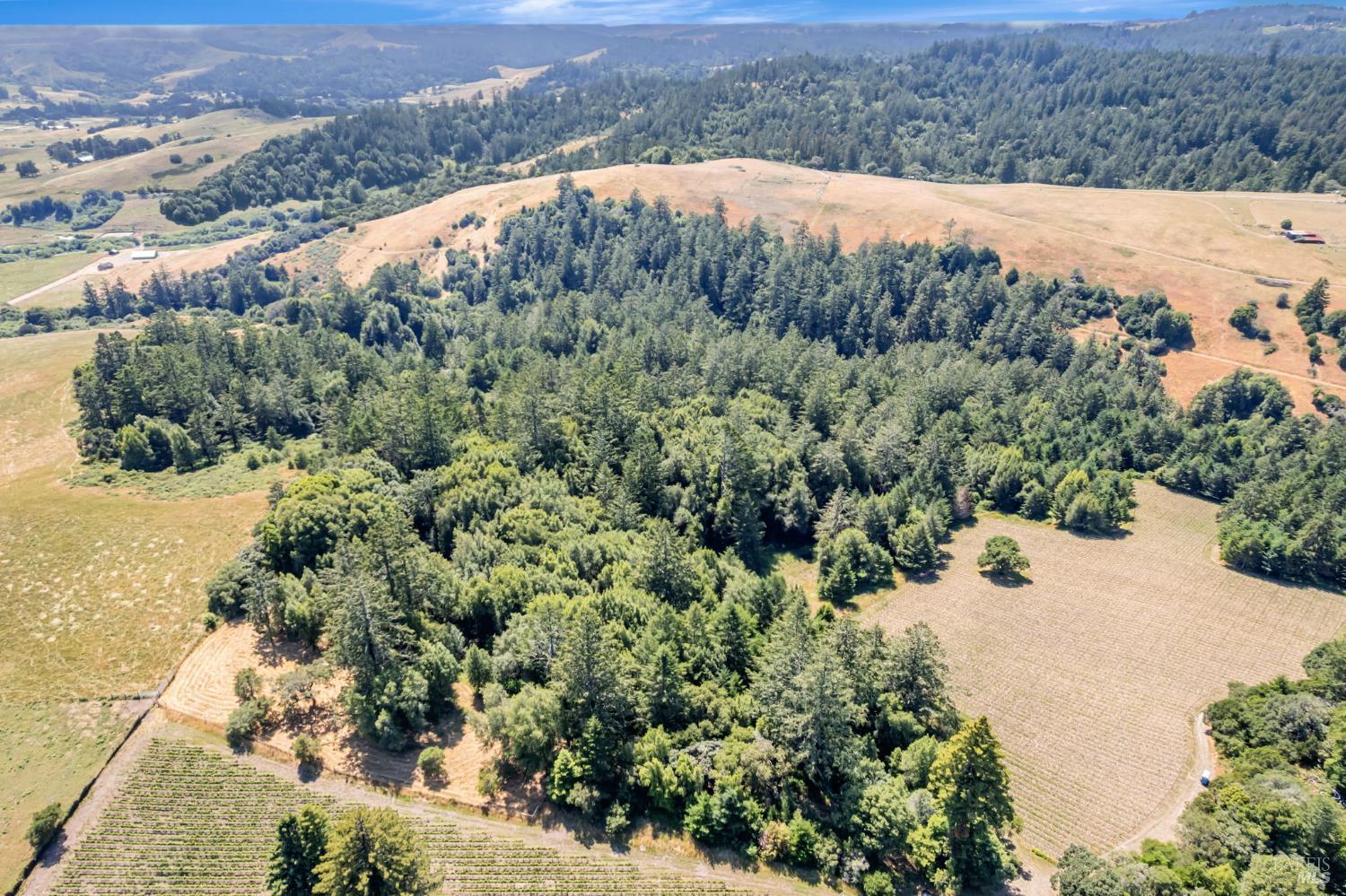 0 S Bodega Highway Freestone CA 95472