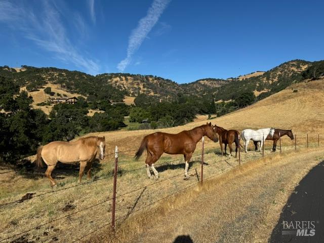 3523 Blue Mountain Drive Fairfield CA 94534