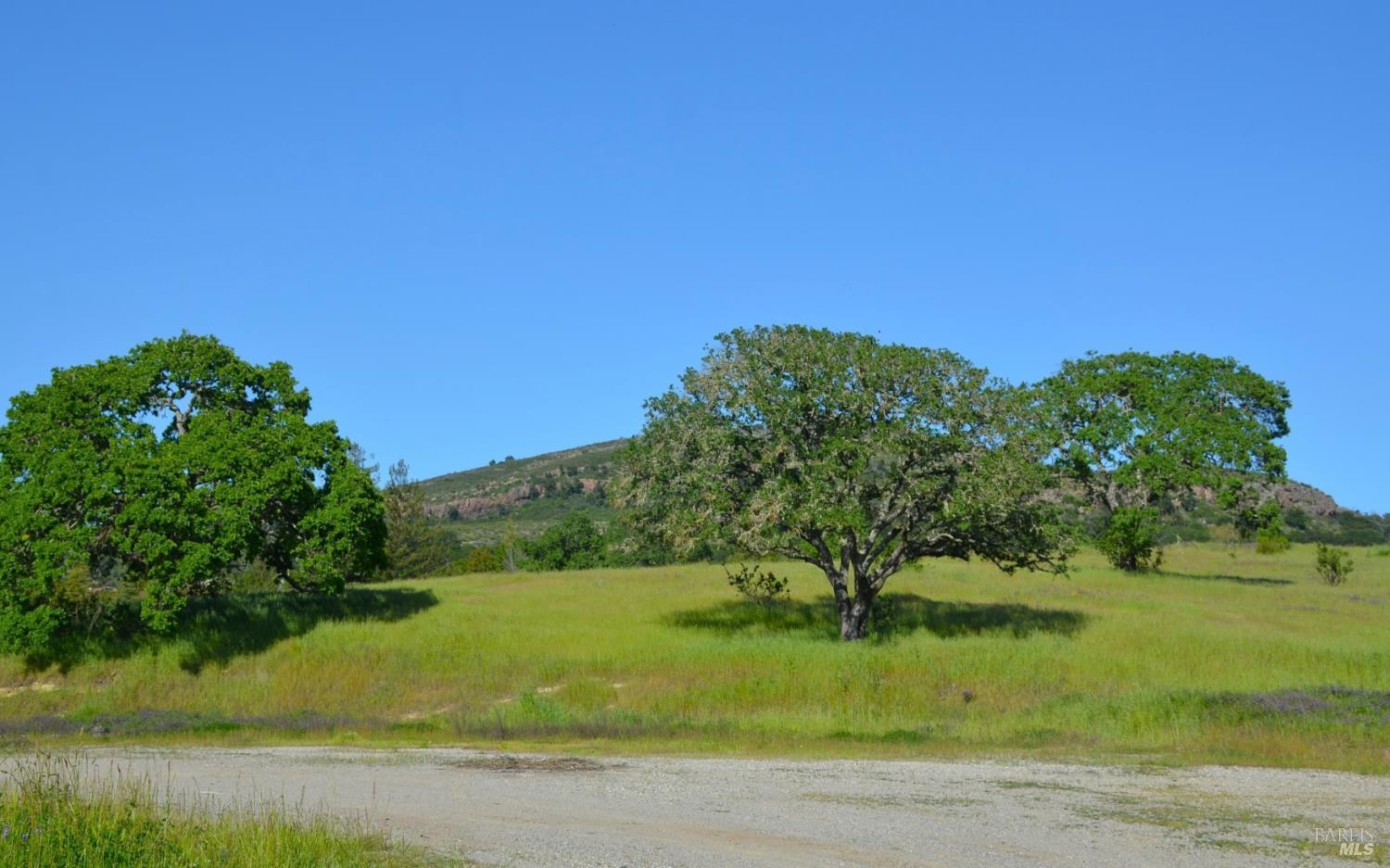 2186 Monticello Road Napa CA 94558