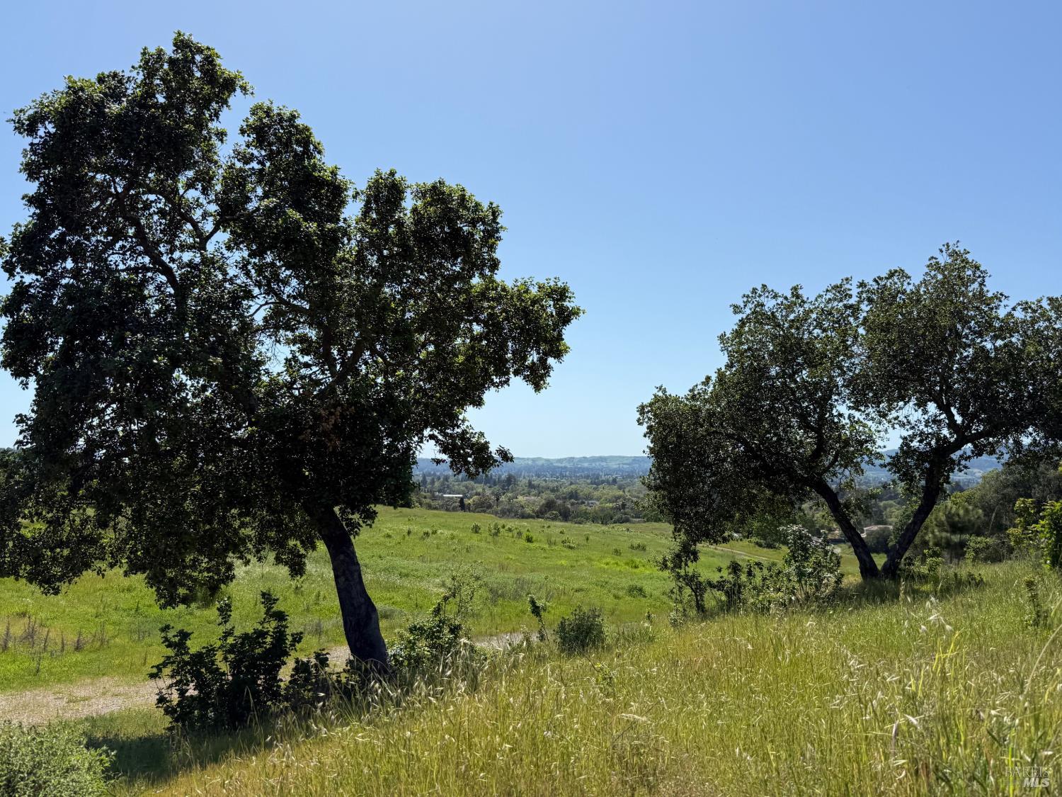 2186 Monticello Road Napa CA 94558