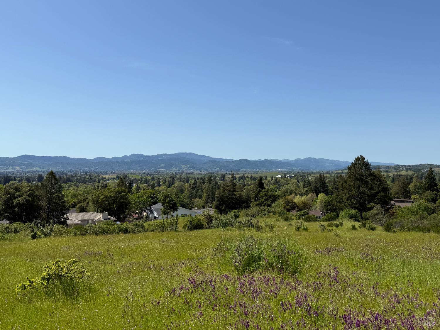 2186 Monticello Road Napa CA 94558