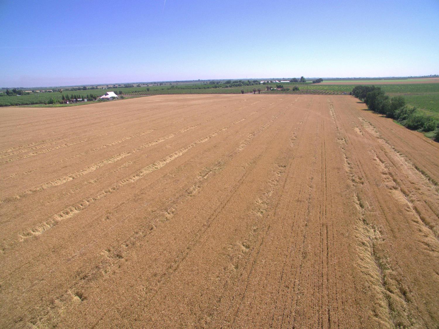 0 County Road 86a Esparto CA 95627
