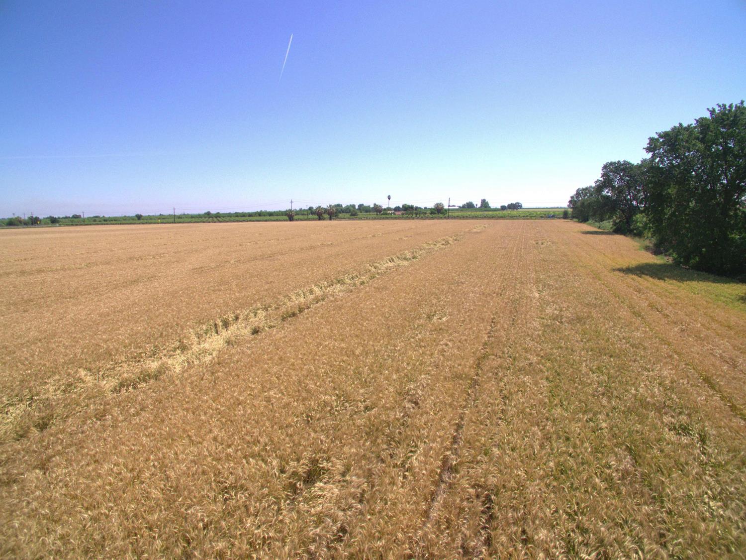 0 County Road 86a Esparto CA 95627