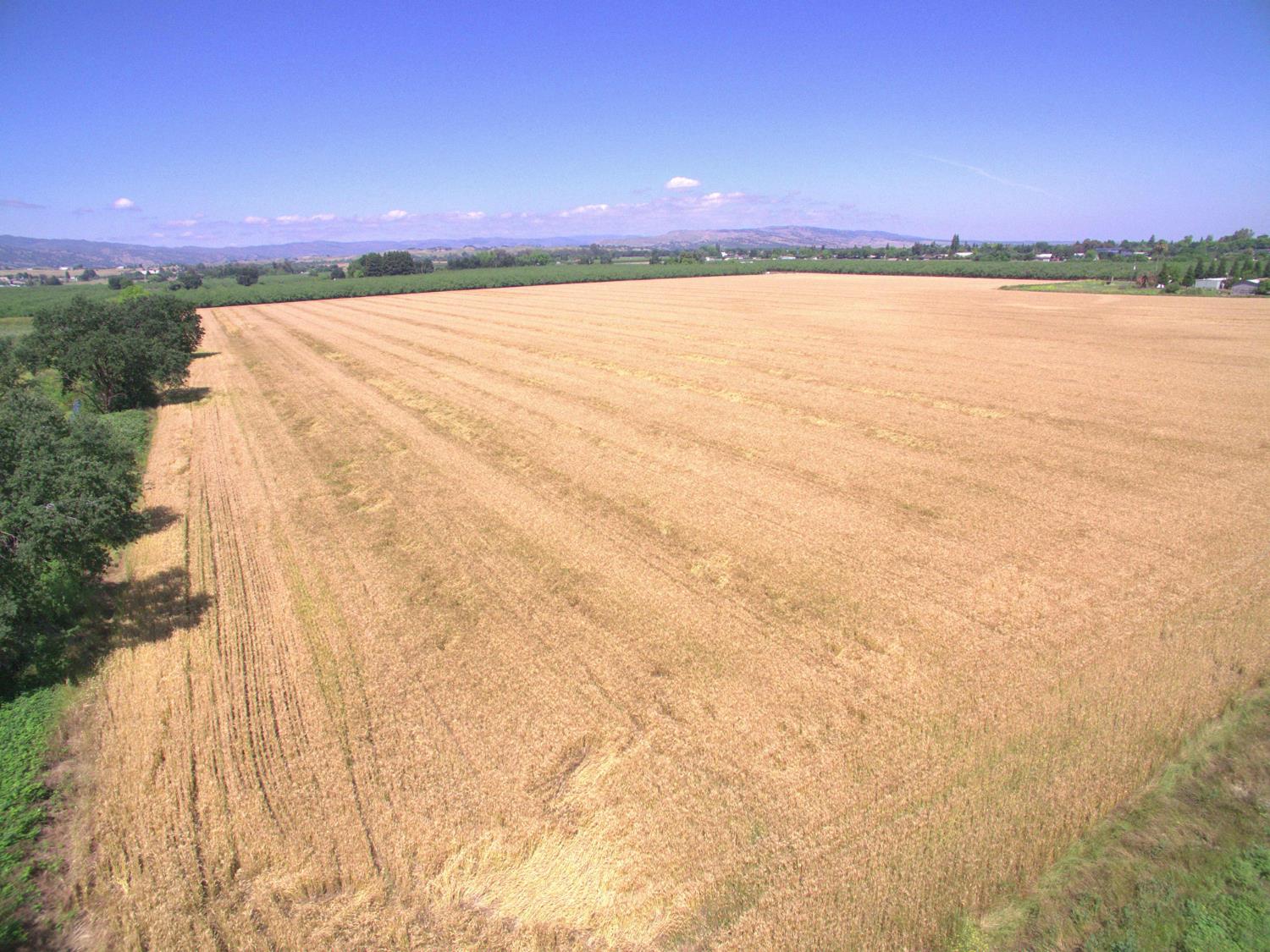 0 County Road 86a Esparto CA 95627