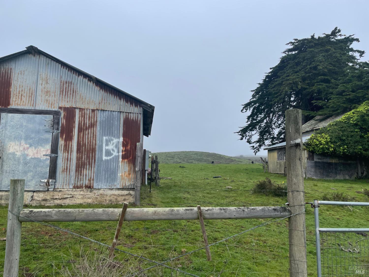 610 Highway 1 Bodega Bay CA 94923