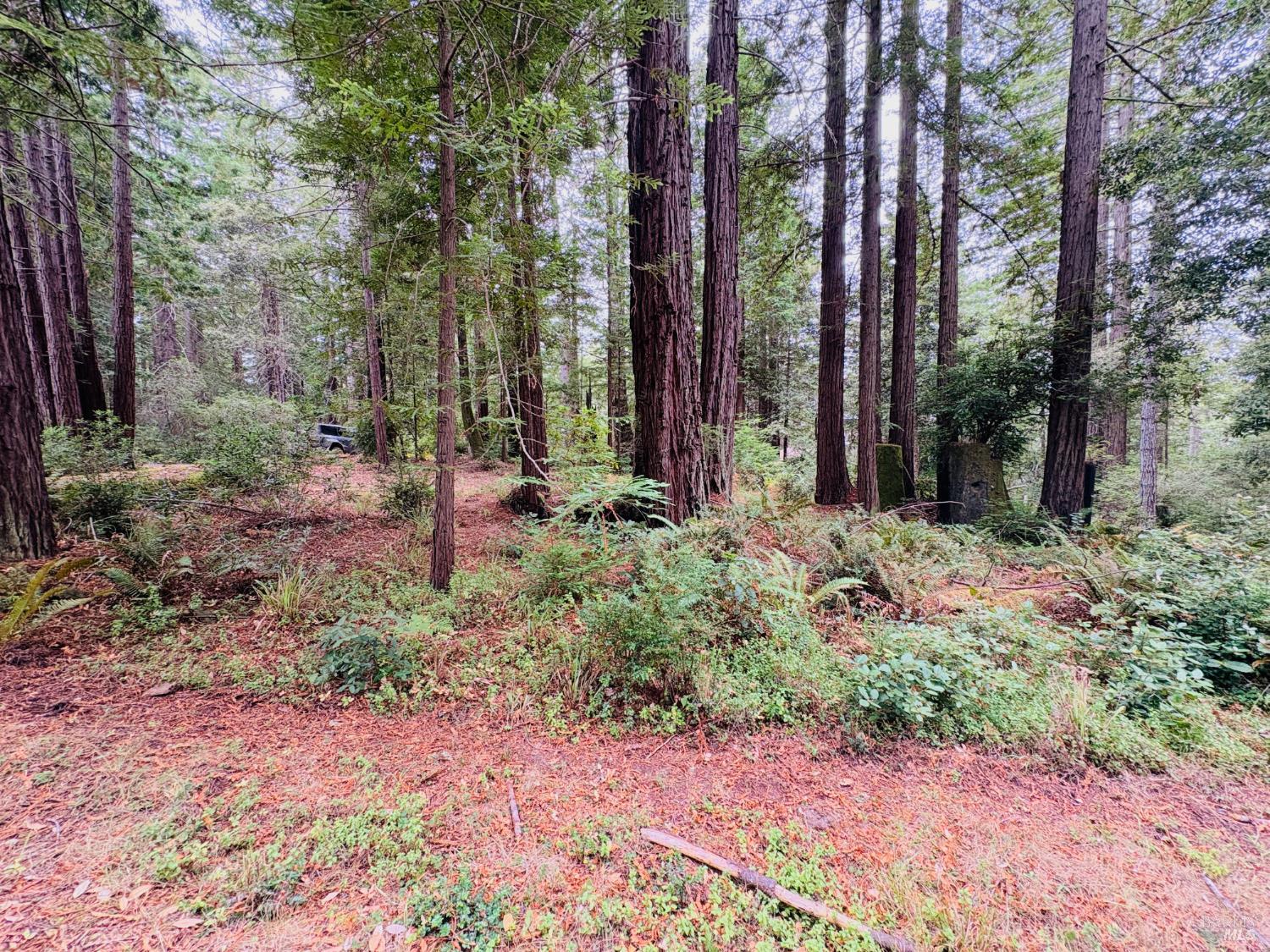 399 Lumberjack Close Road The Sea Ranch CA 95497