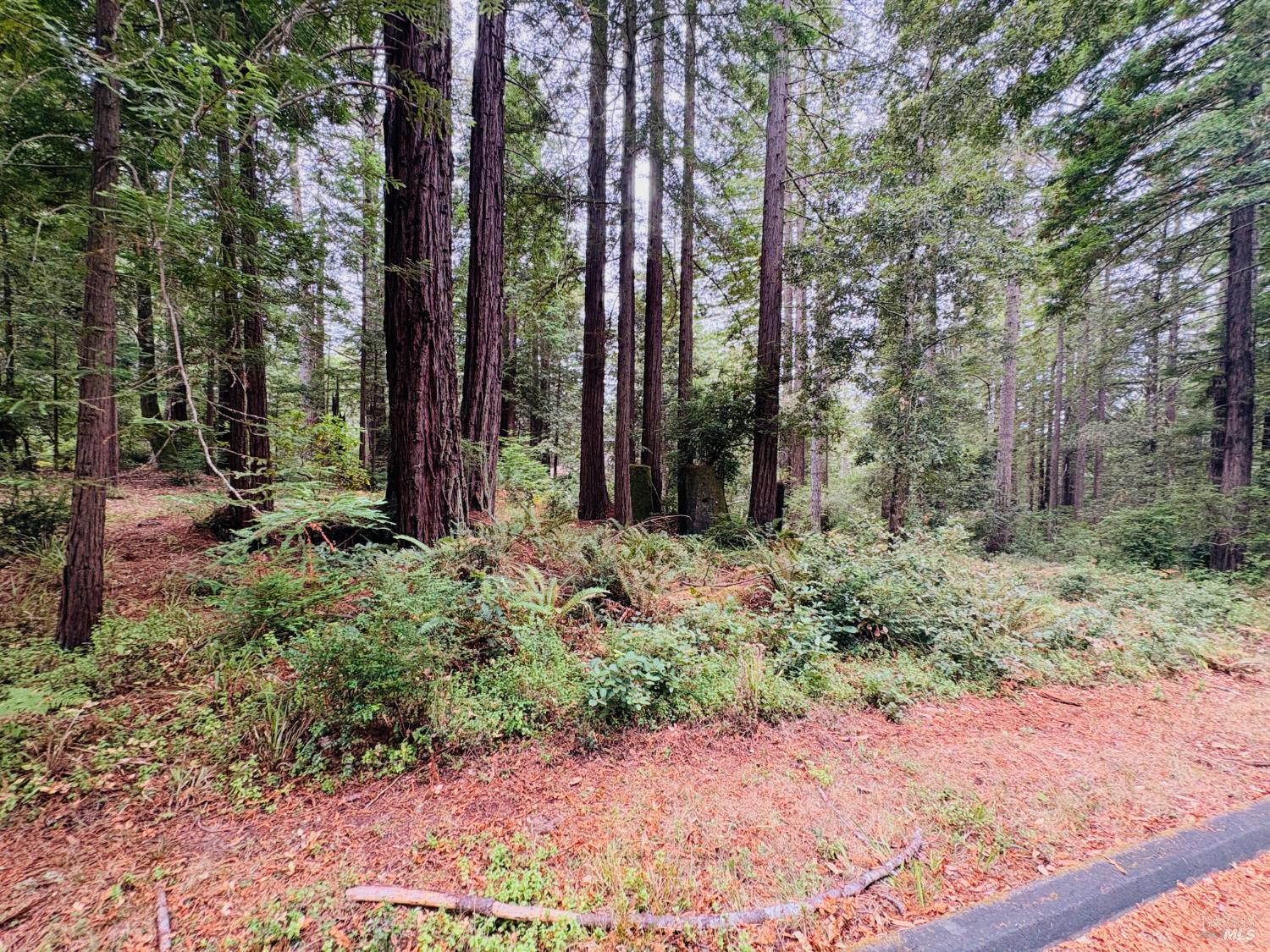 399 Lumberjack Close Road The Sea Ranch CA 95497
