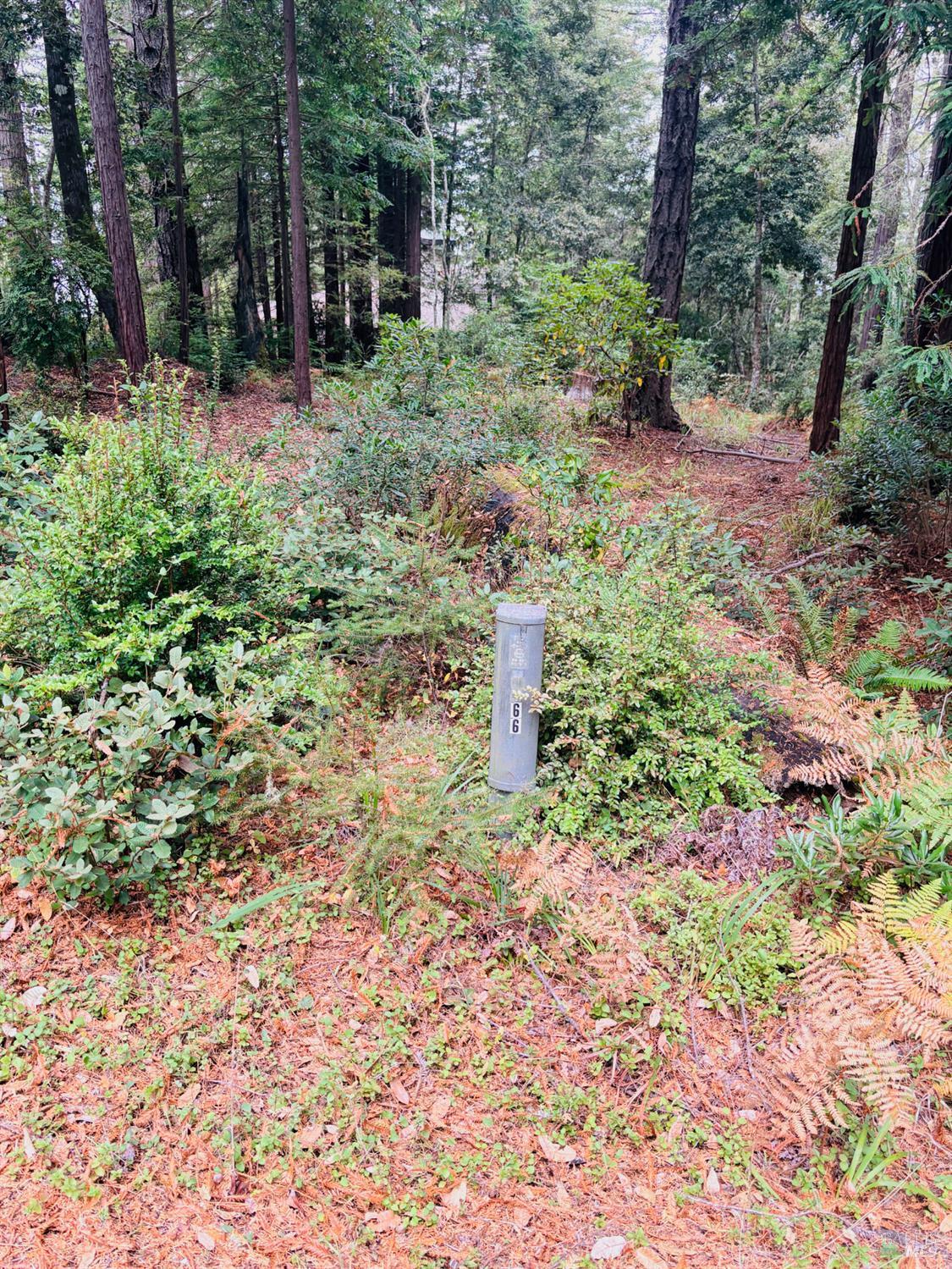 399 Lumberjack Close Road The Sea Ranch CA 95497