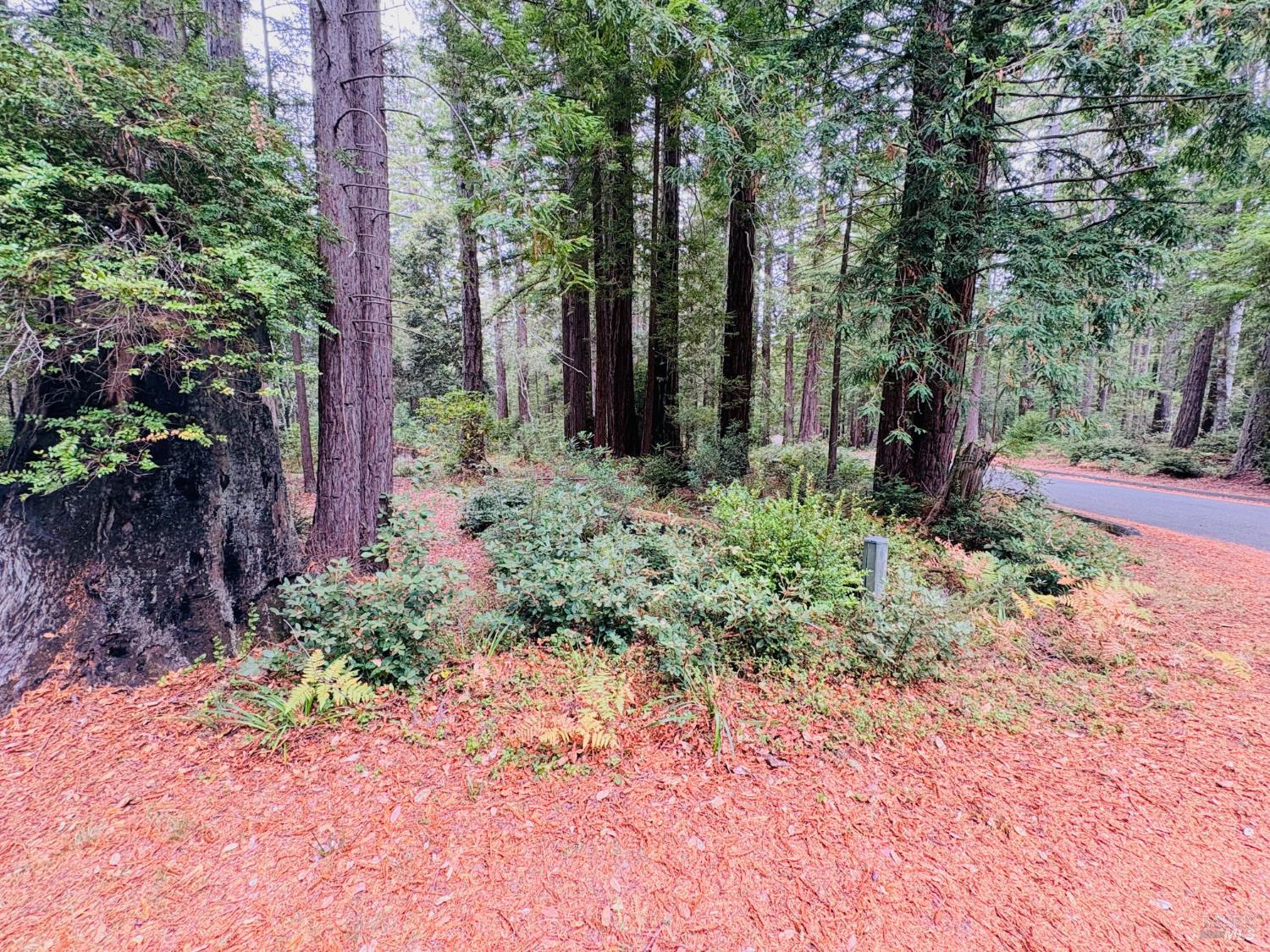 399 Lumberjack Close Road The Sea Ranch CA 95497