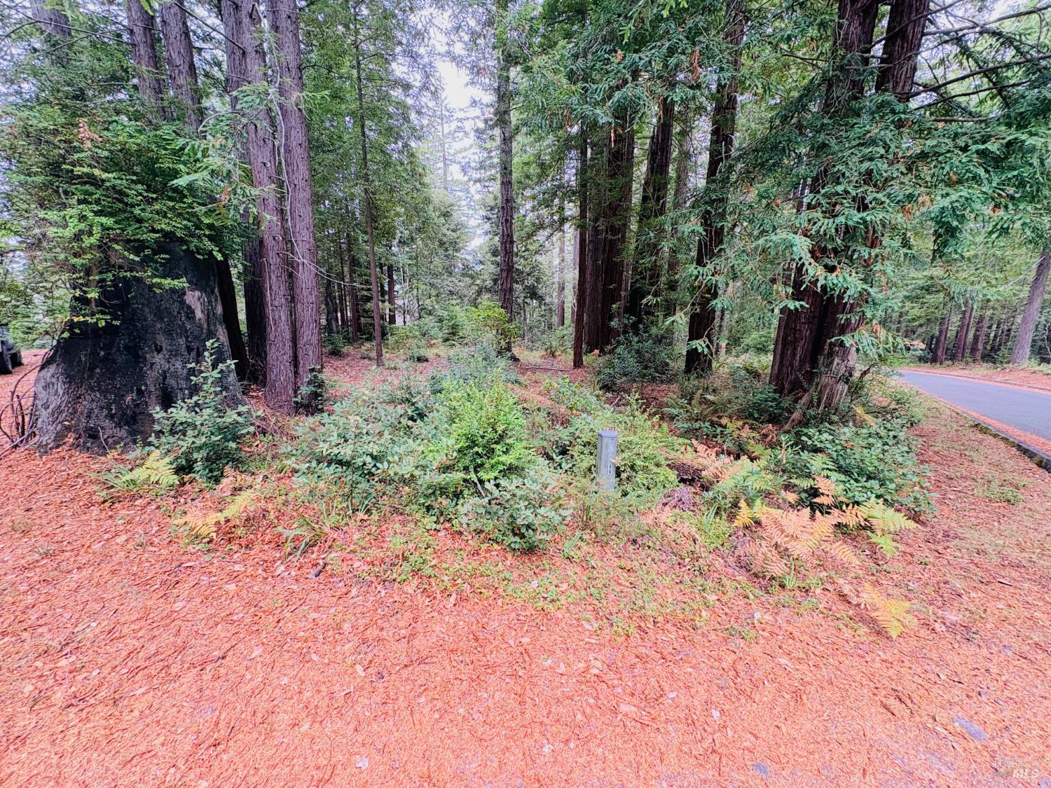 399 Lumberjack Close Road The Sea Ranch CA 95497