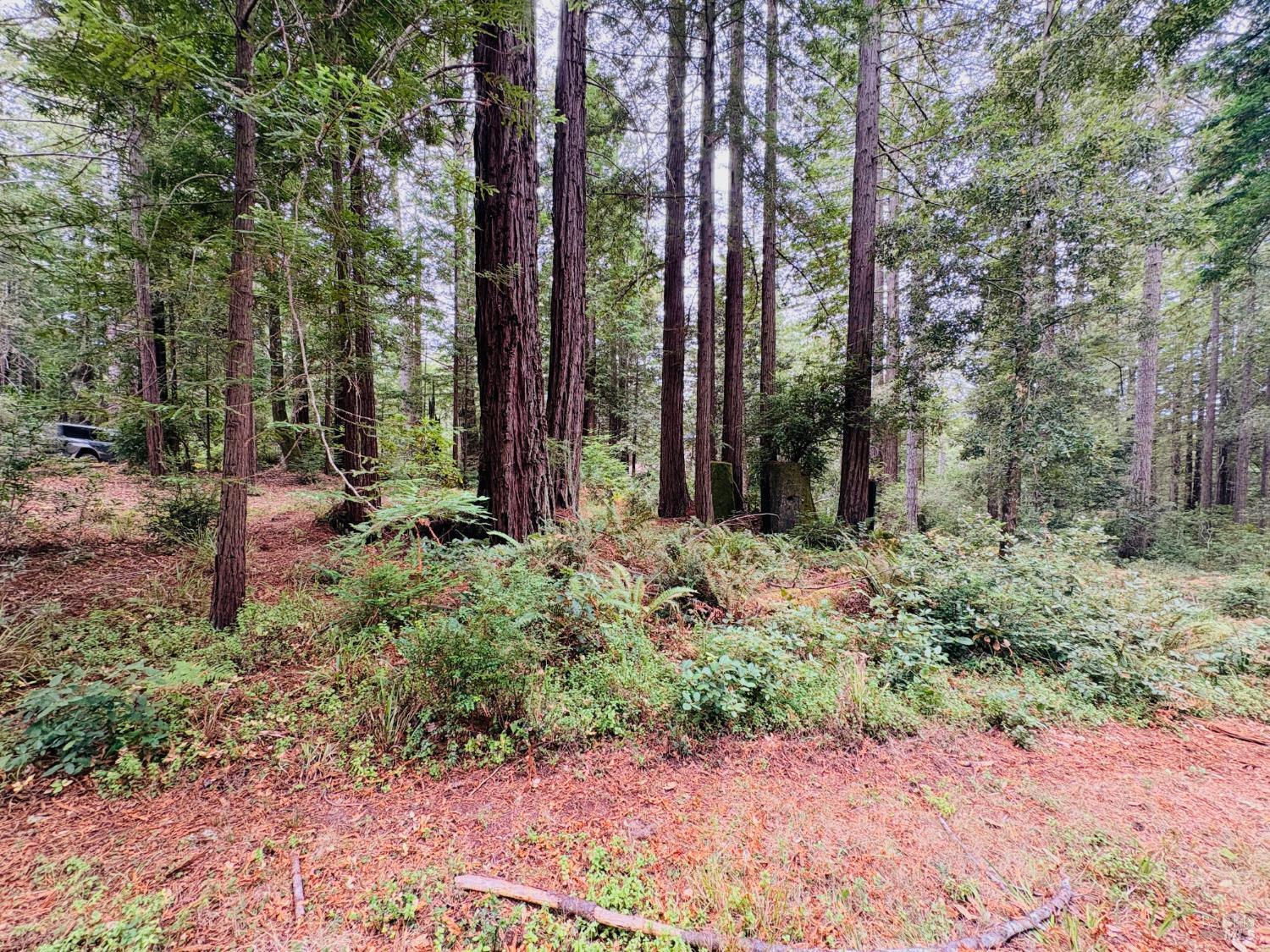 399 Lumberjack Close Road The Sea Ranch CA 95497