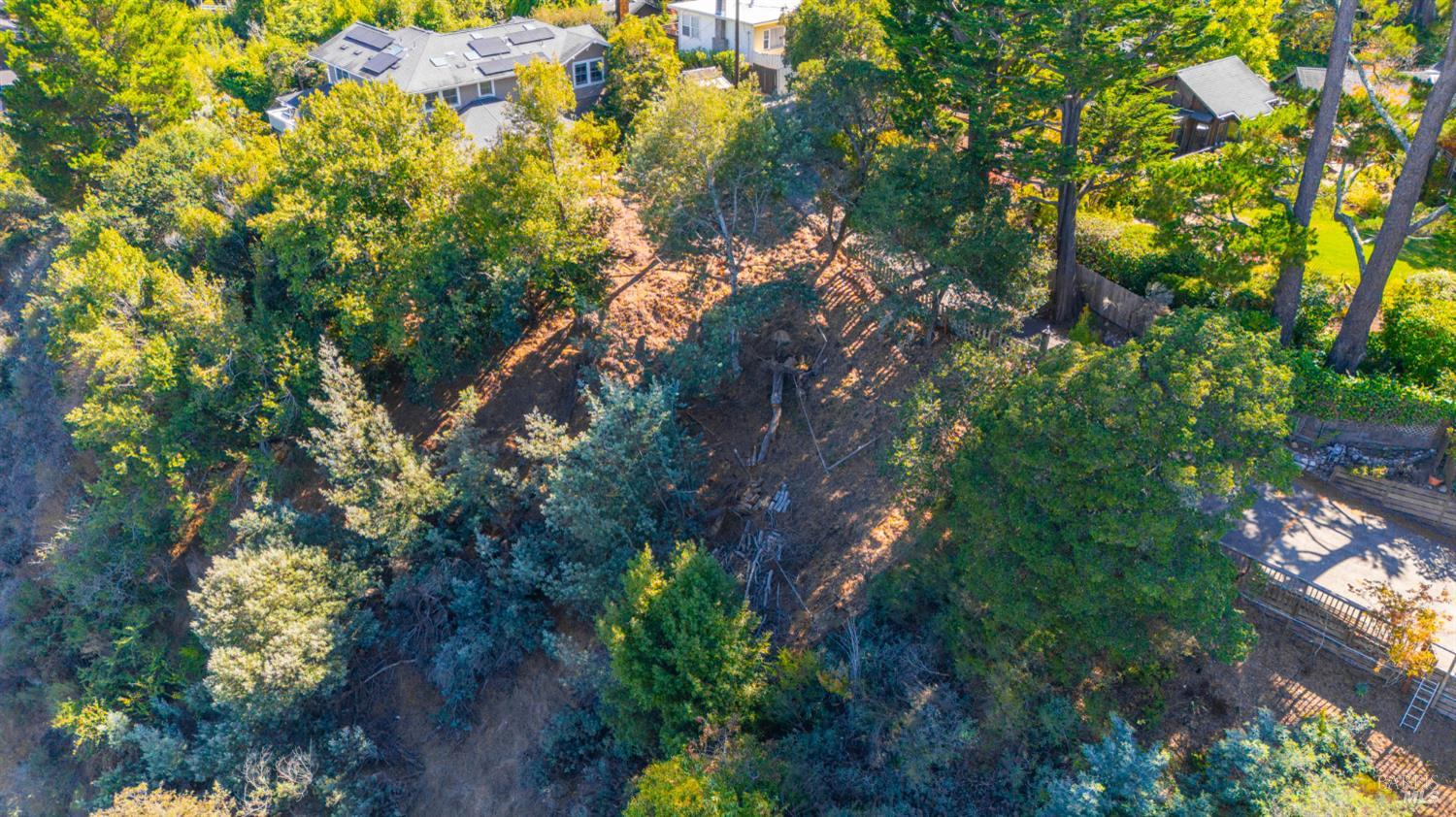 10 E Laverne Avenue Mill Valley CA 94941