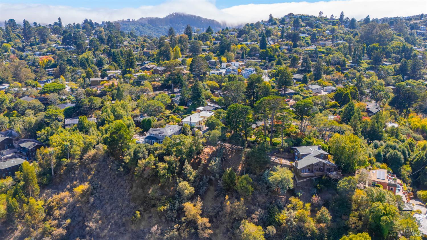10 E Laverne Avenue Mill Valley CA 94941