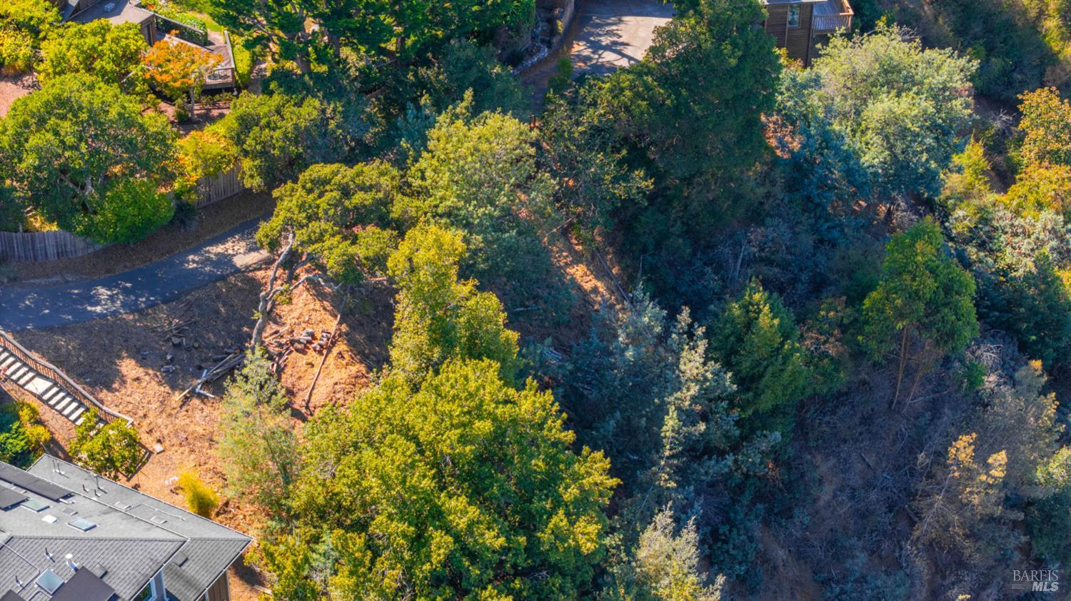 10 E Laverne Avenue Mill Valley CA 94941