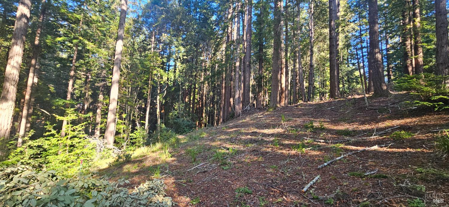 22107 Ruoff Road Timber Cove CA 95450