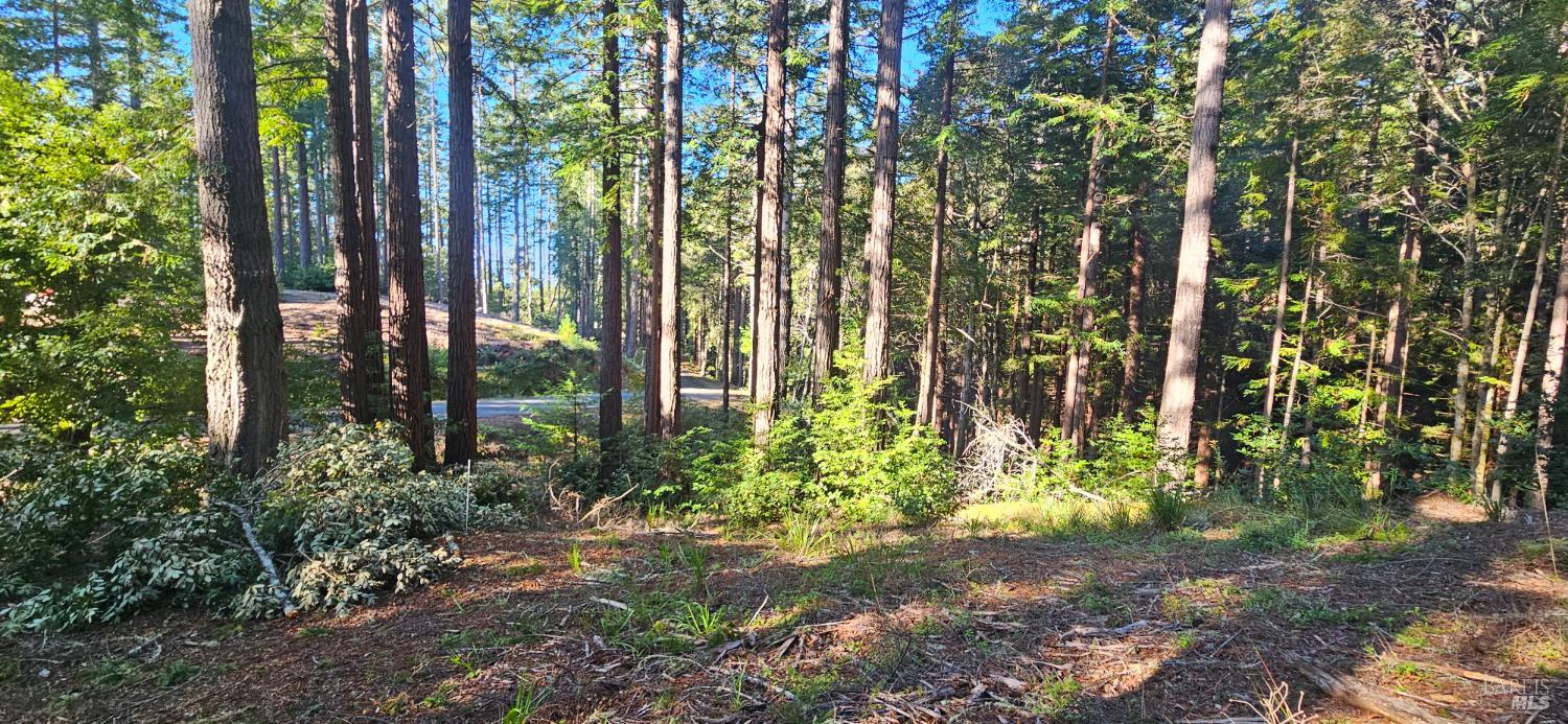22107 Ruoff Road Timber Cove CA 95450