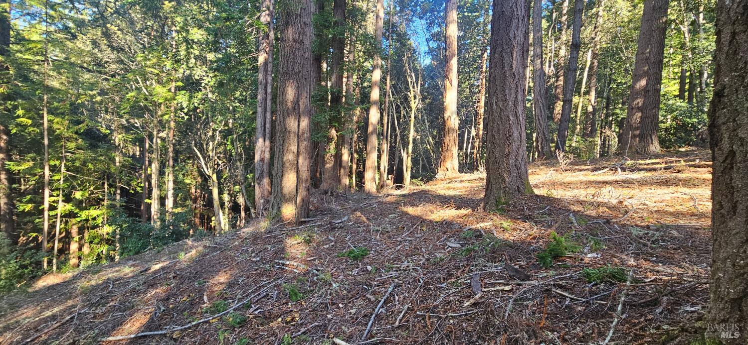22107 Ruoff Road Timber Cove CA 95450