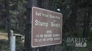 22107 Ruoff Road Timber Cove CA 95450