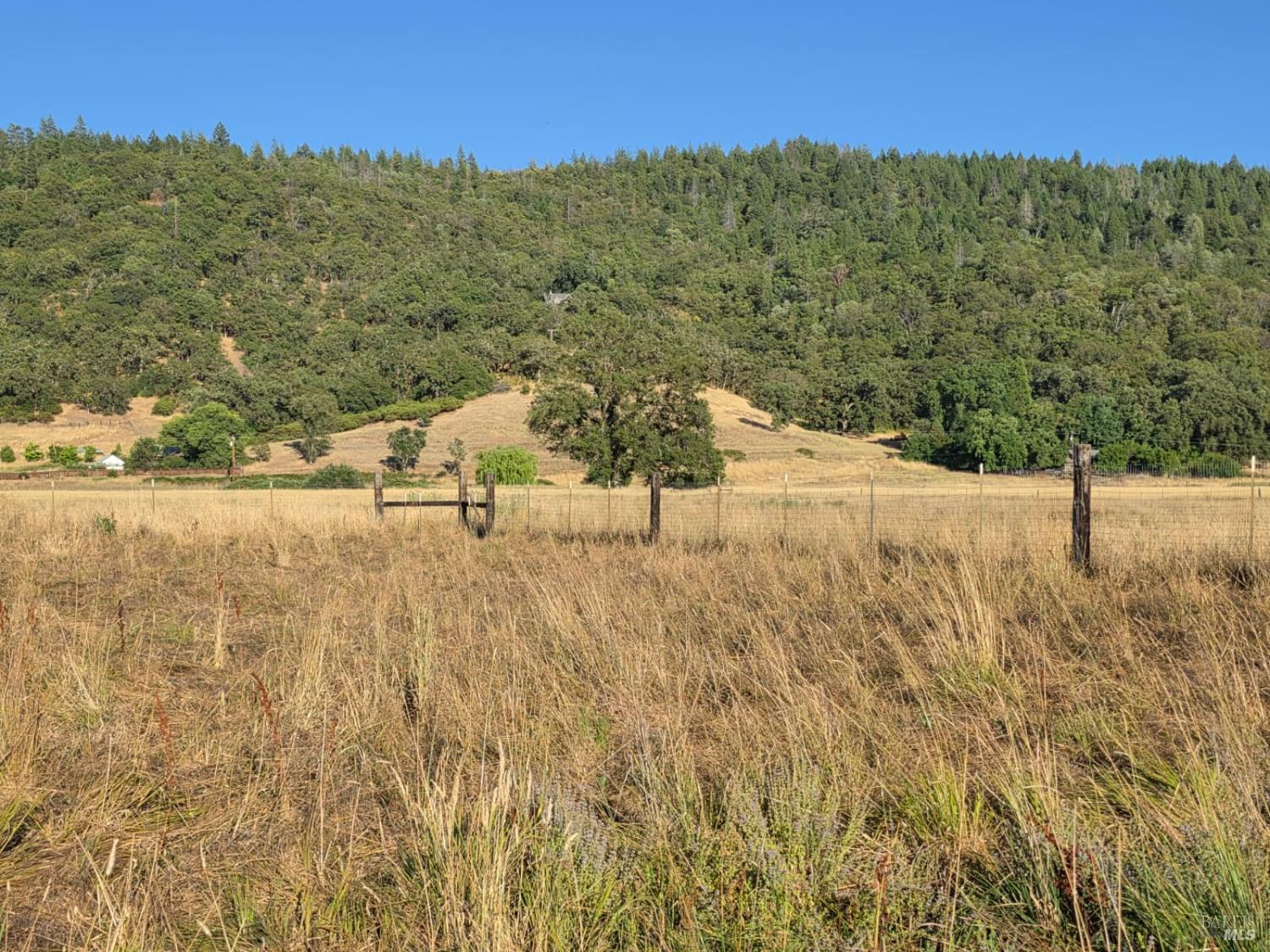 76220 Hill Road Covelo CA 95428