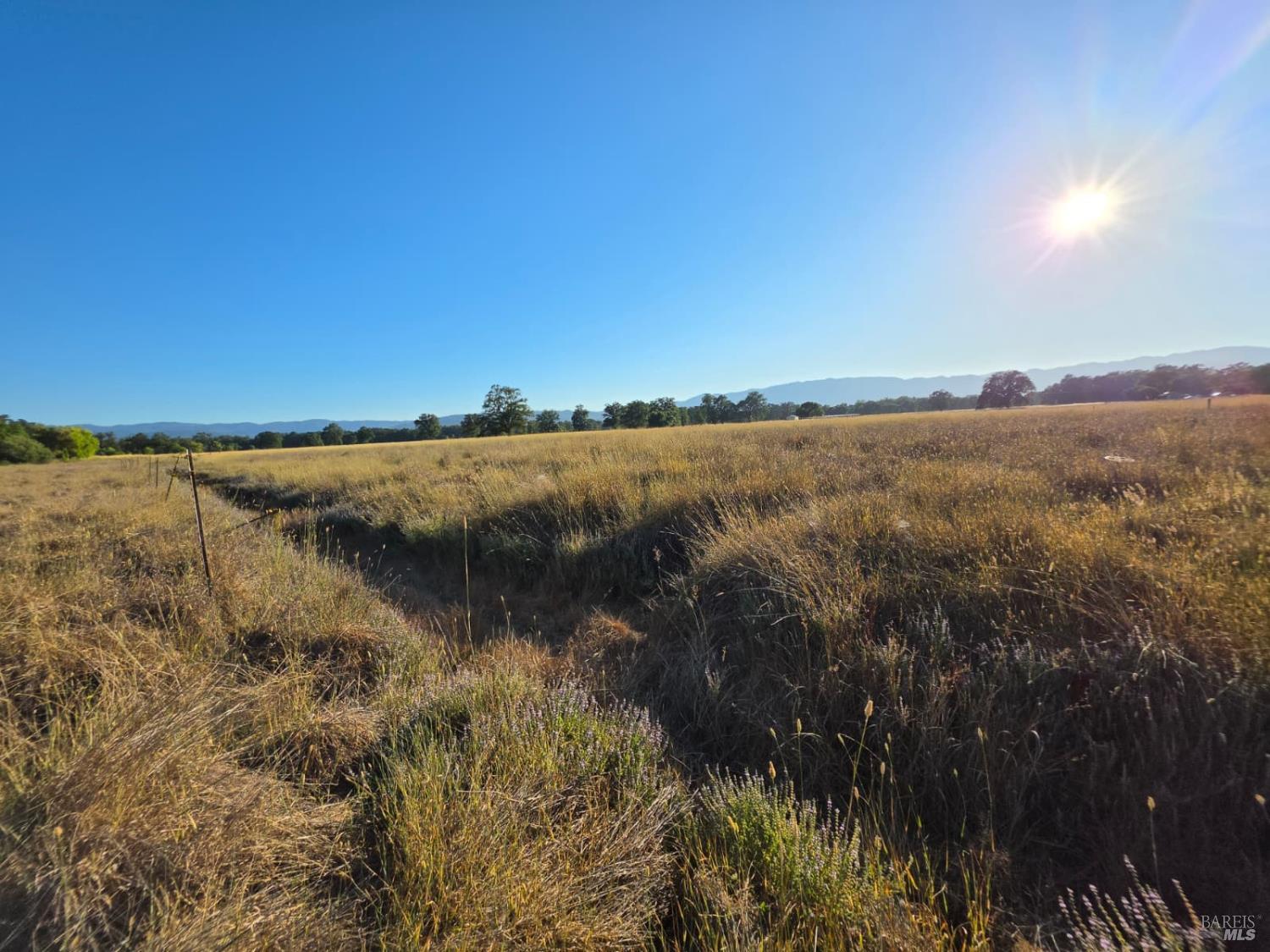 76220 Hill Road Covelo CA 95428