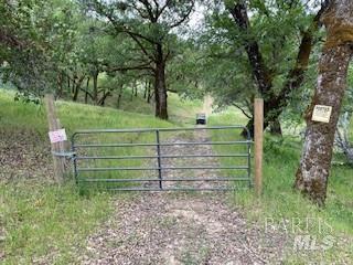 11950 N Eagle Rock Road Hopland CA 95449