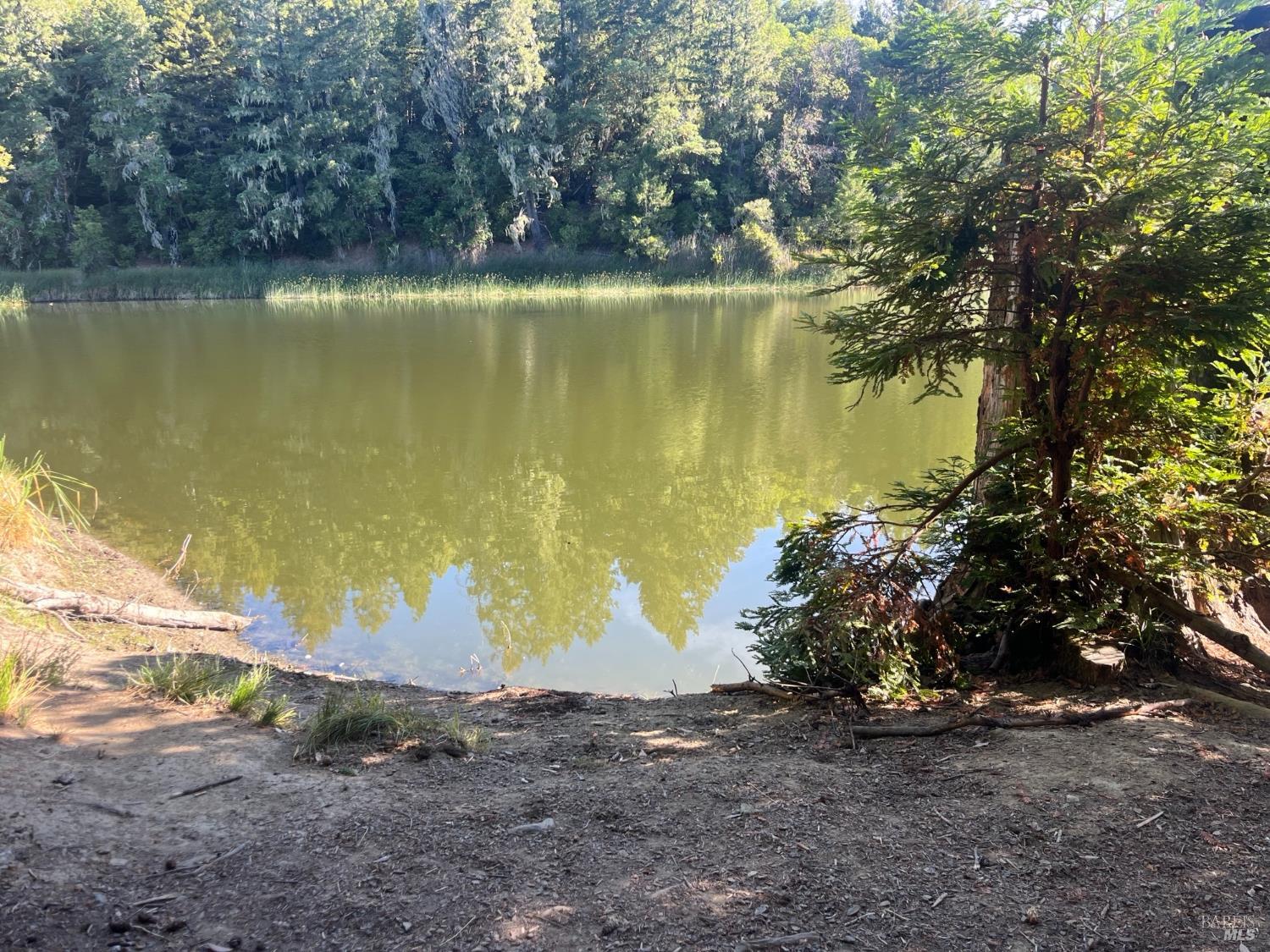 2114 Poppy Lane Willits CA 95490