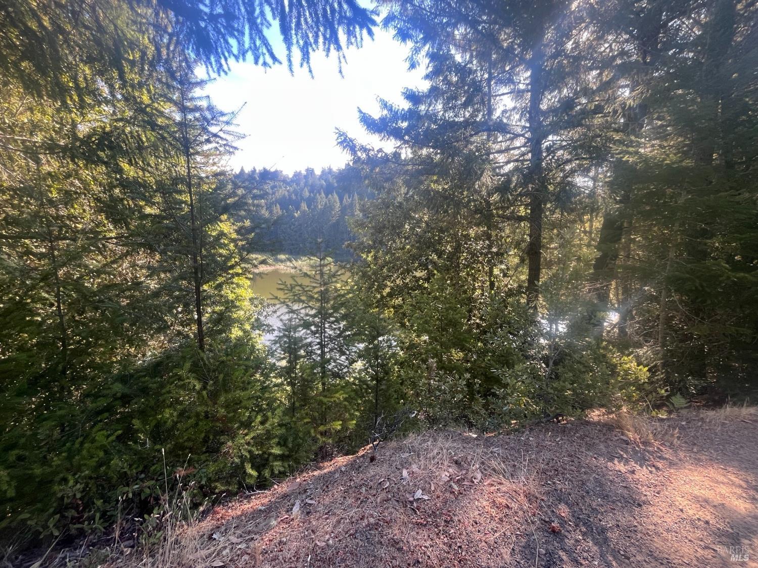 2114 Poppy Lane Willits CA 95490